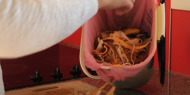 Journey Of Food Scraps Thumbnail